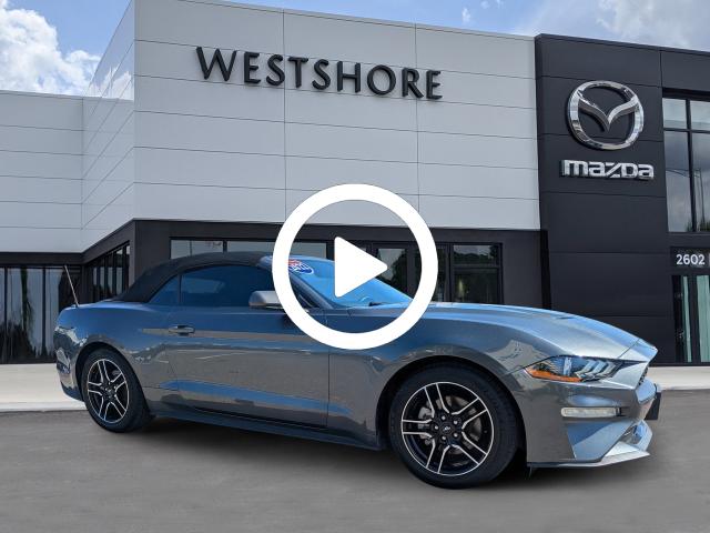 2022 Ford Mustang EcoBoost Premium photo 2