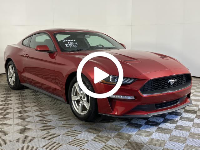2020 Ford Mustang EcoBoost photo 2