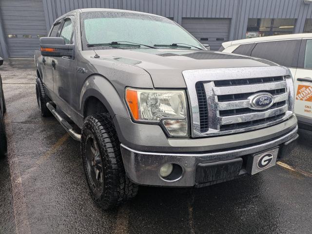 2009 Ford F-150 photo 4