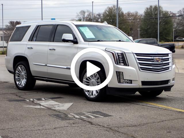 2016 Cadillac Escalade Platinum photo 2